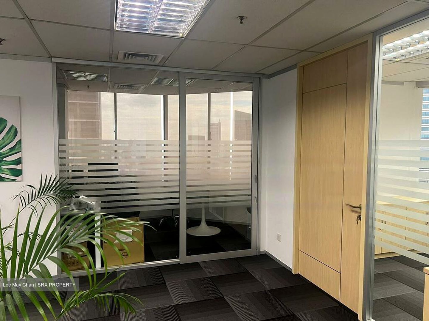International Plaza (D2), Office #458141091